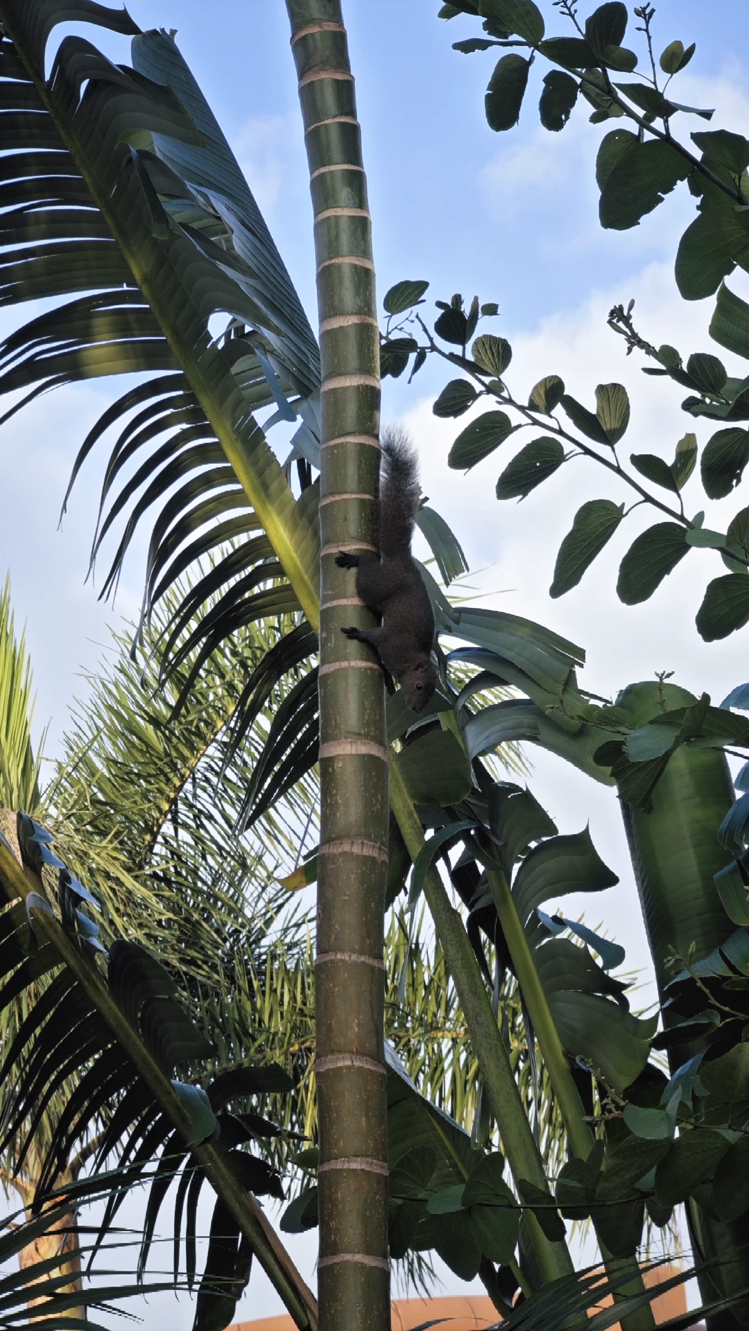 找到一个好朋友～🐿️