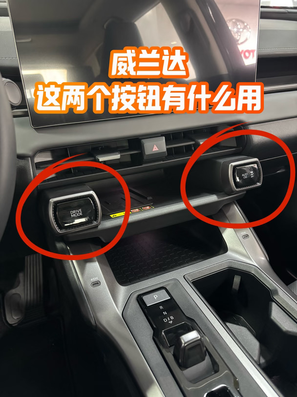 🚗 威兰达｜这两个按钮有什么用？