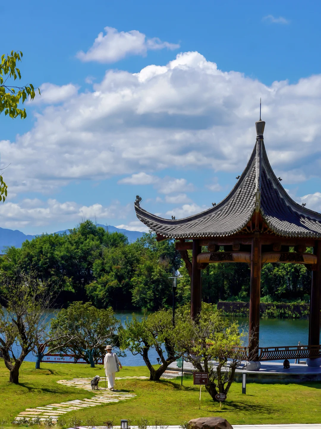 携宠寻徽韵｜住进黄山湿地水墨秘境🐾