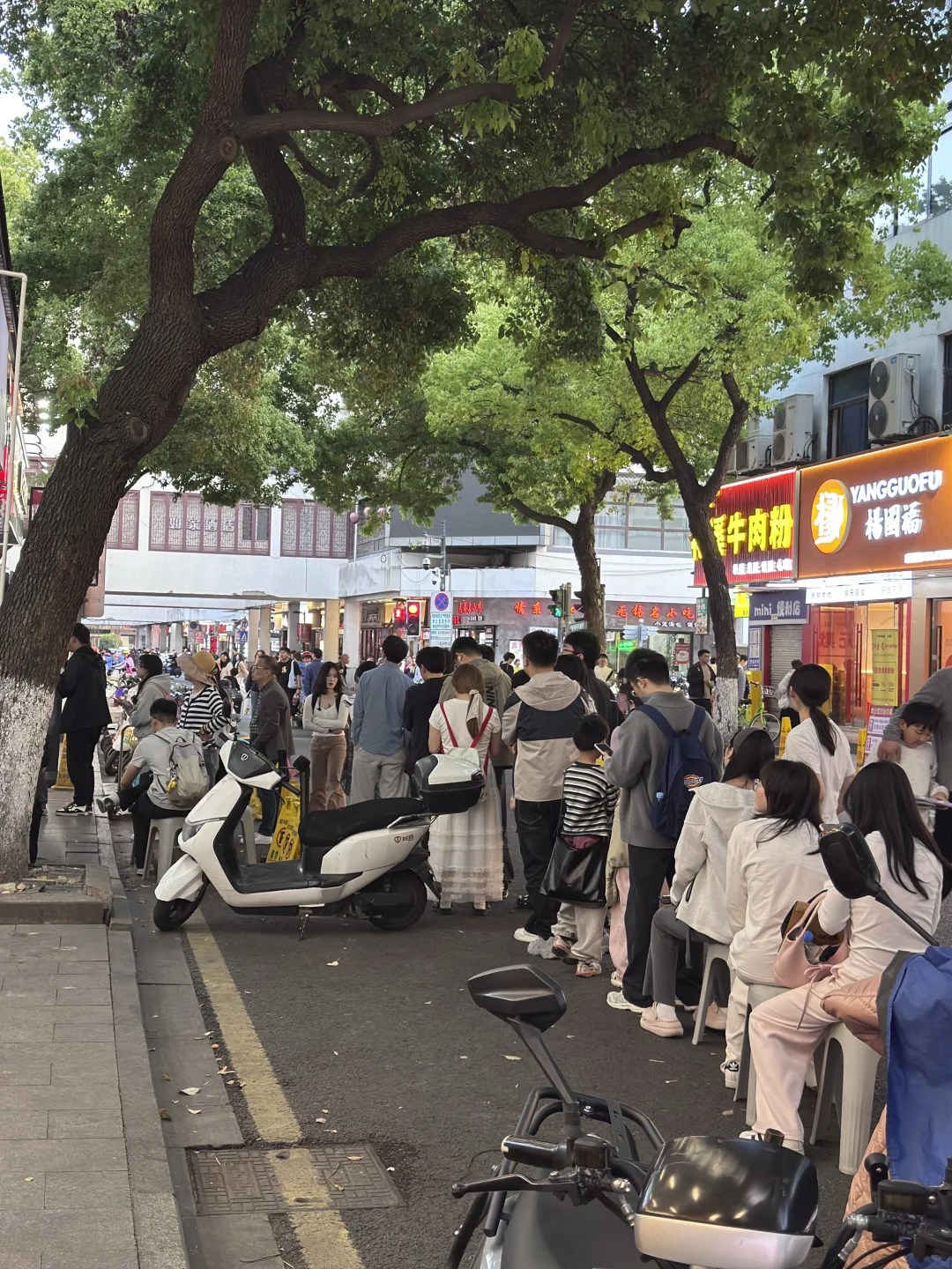 今日苏州魏家凉皮排队实况