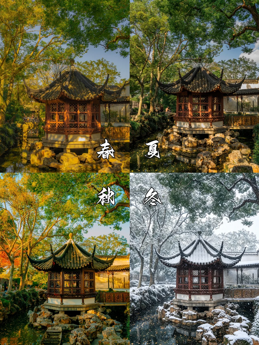 历时一年！我拍到了拙政园的诗意四季！！
