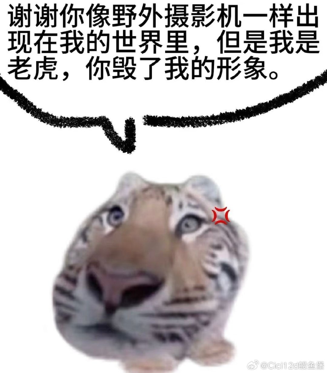 但人家是老虎嘛 ​