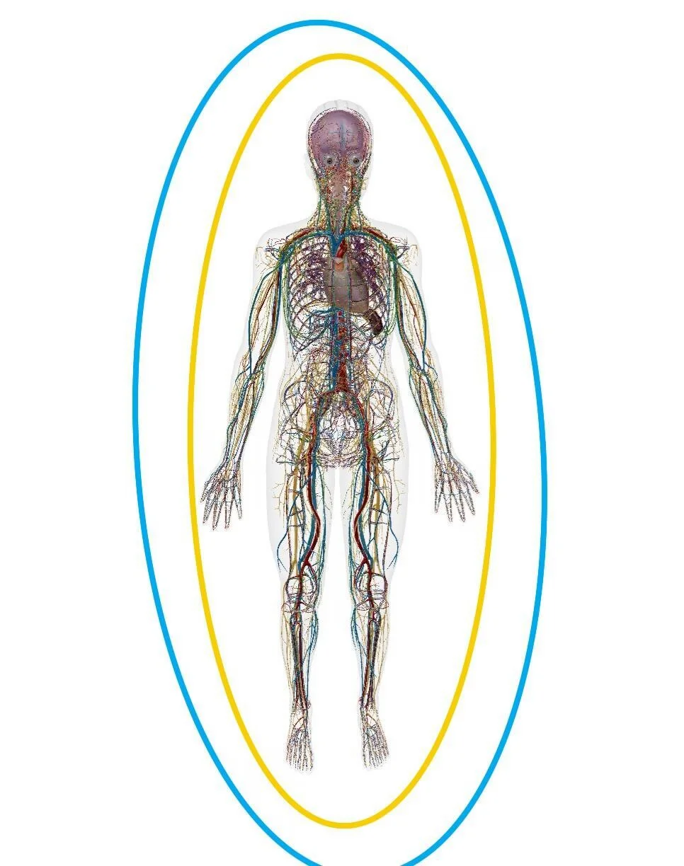 我们受到的教育，把我们往虚伪的方向塑造。 上学时老师说要做一个真实的人...