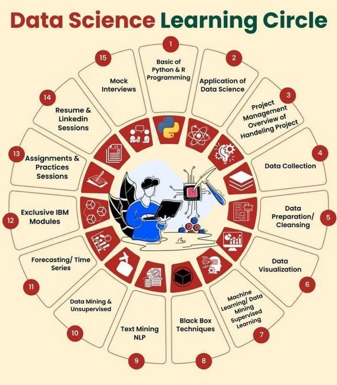 📊从零到数据科学家：完整学习闭环路线图，一