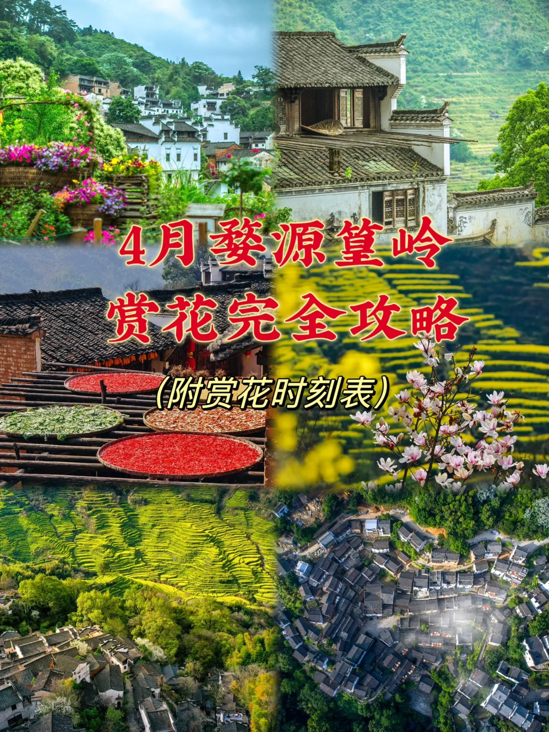 4月婺源篁岭赏花完全攻略（附赏花时刻表）