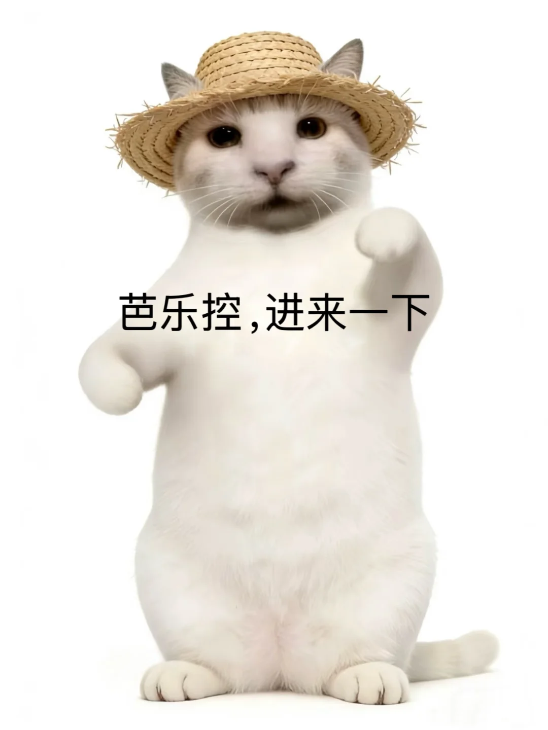 芭乐控，进来一下