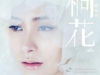 美甲店里的“小璇”：一座城里，一个笑着孤单的人

钟欣潼的 《小璇》，讲的是一个像街角传闻一样的真实片段：

某人心情跌到谷底，下车乱走，撞进一家没客人的美甲店。店主自报名字——小璇。

小璇不是大人物。没客人时，她和猫说话；朋友吵架，她第一个跑去劝；吃饭永远抢着买单。她爱笑，说“城市 ​