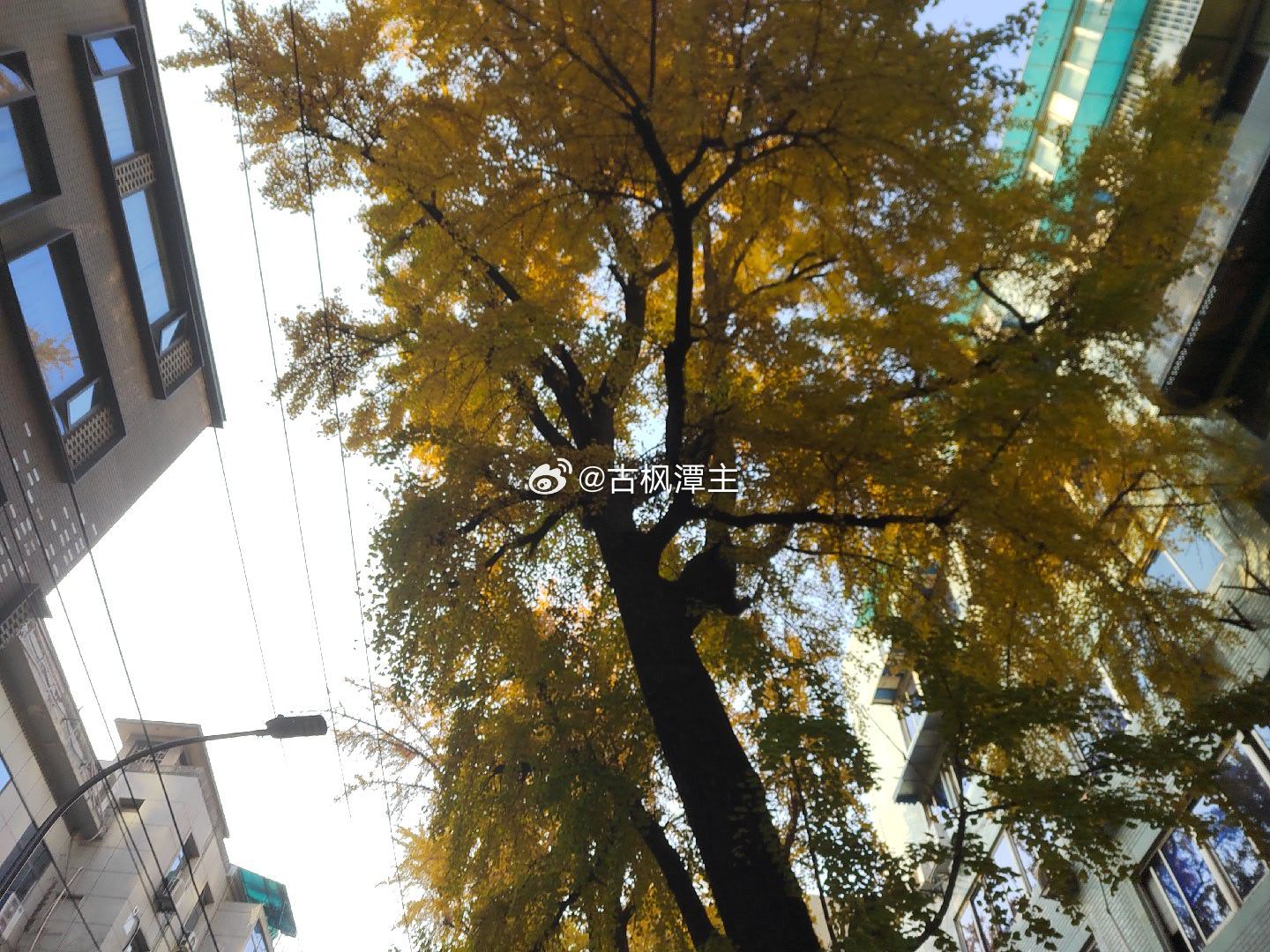 看到一个炸裂的新闻，也门胡塞武装9天内在红海沿岸发动闪电攻势，攻占了5400平方公里土地，这次“拖鞋军”的战报称：此次战役面对敌方7个师共38个旅，造成数百名敌方人员死伤或被俘。最关键的是：胡塞武装攻占了红海的咽喉要道穆哈港、祖巴卜镇以及曼德海峡内丕林岛等多处战略支点！这导致沙特等中东产 ​