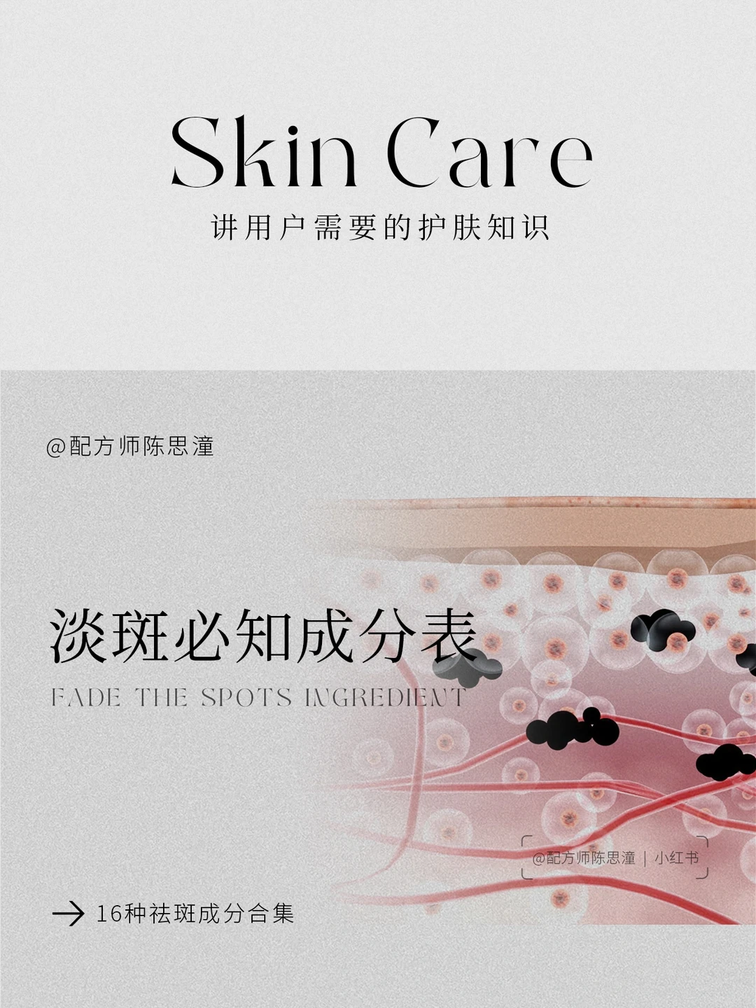 护肤知识｜新手护肤必知‼️淡化色斑成分表