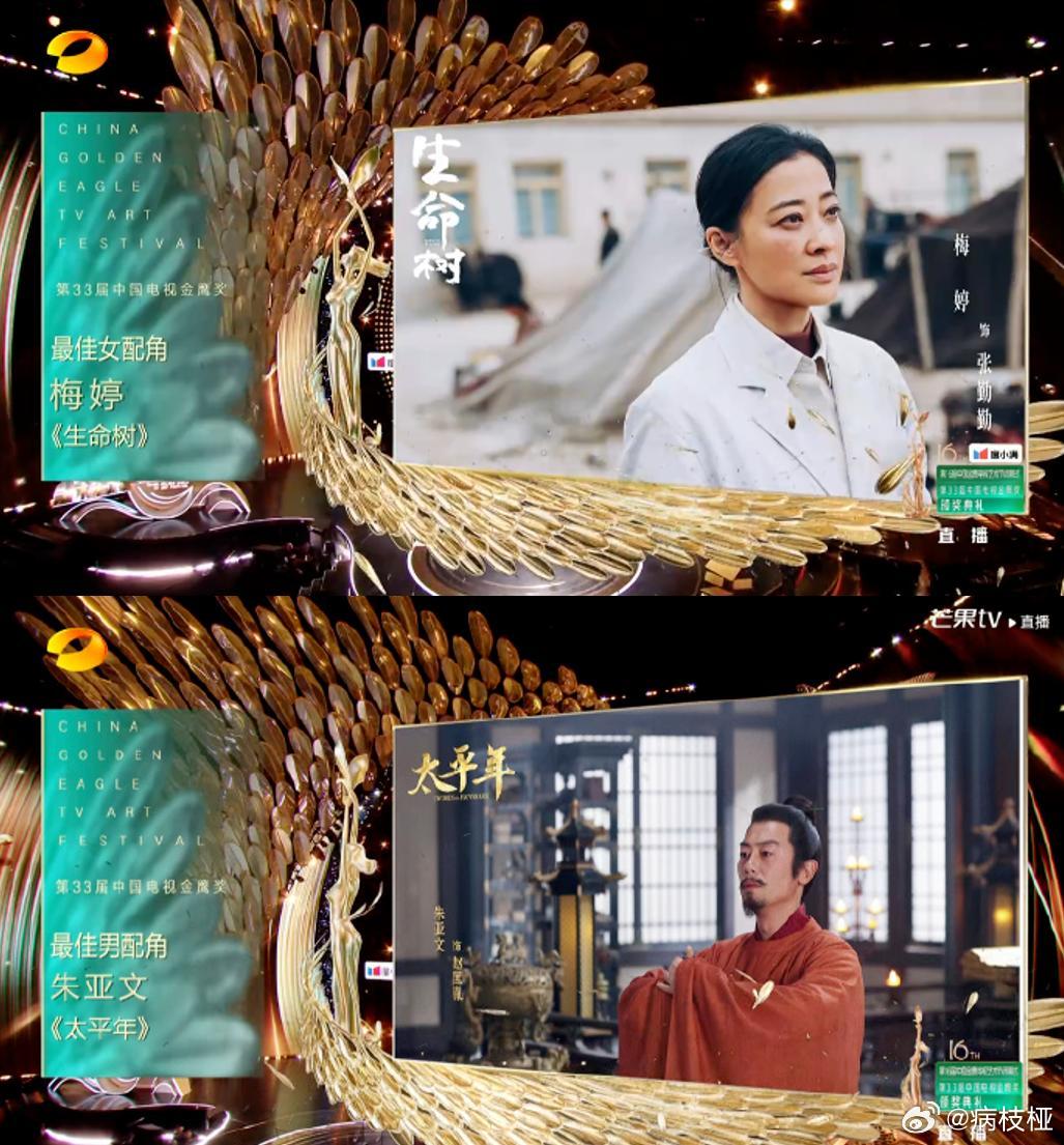 金鹰奖揭晓！于和伟获最佳男主角，宋佳获最佳女主角，梅婷获最佳女配角，朱亚文获最佳男配角 ​