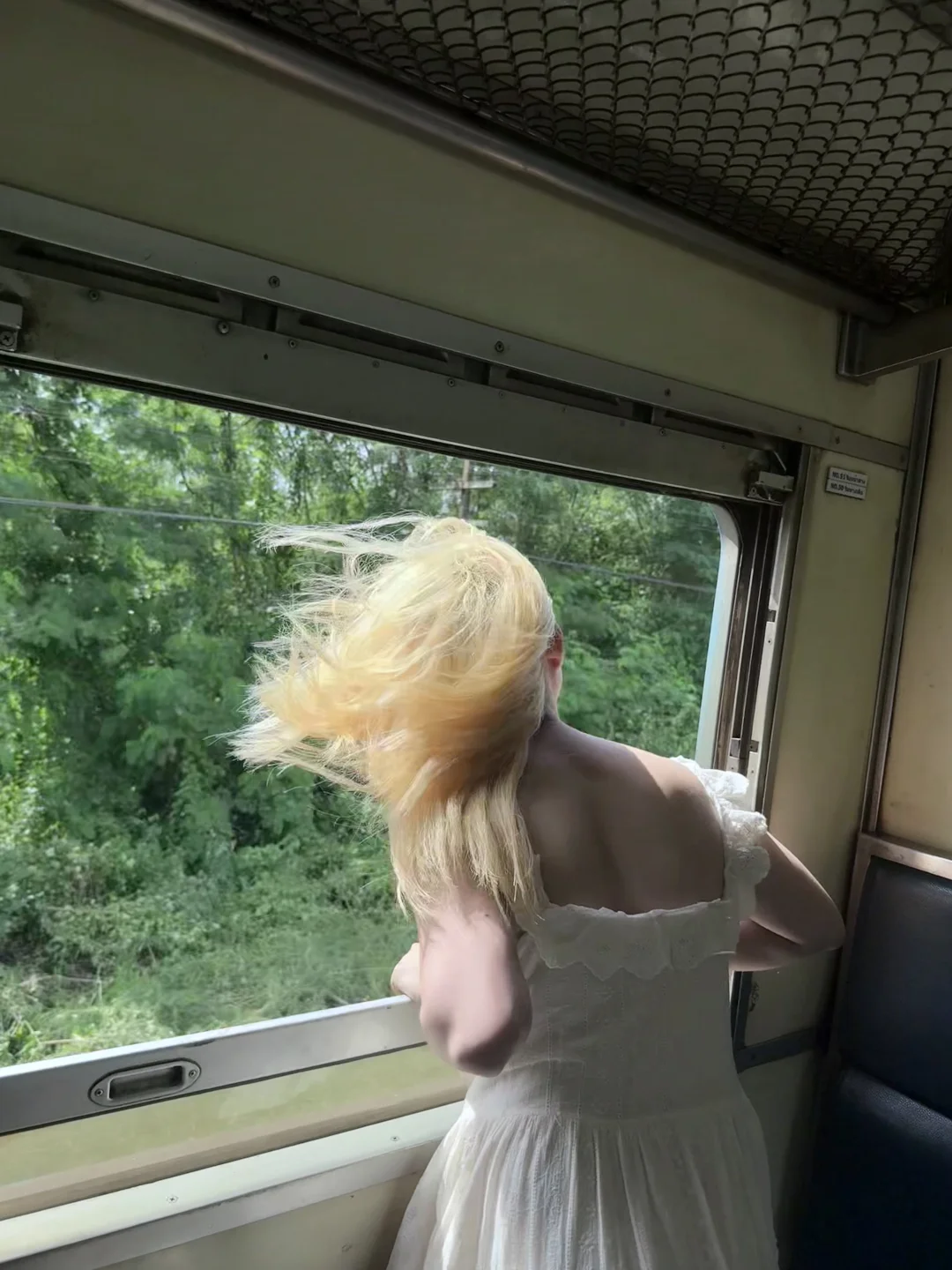 花一块钱拍到的人生live图