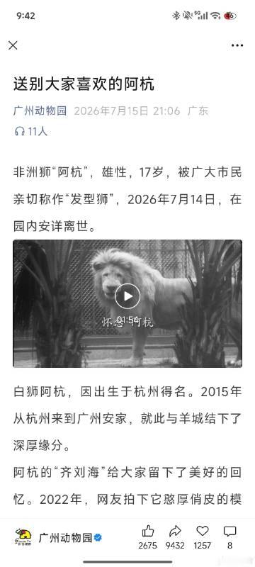 啊？？？？？