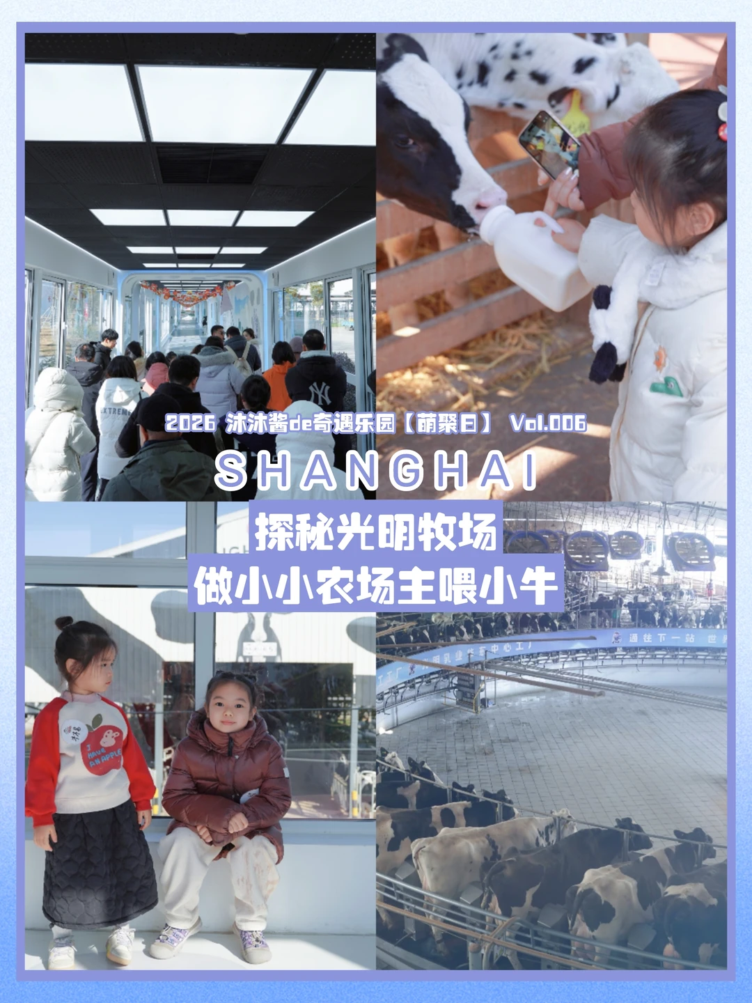 沐沐酱de萌聚日｜去光明牧场喂小牛也太快乐