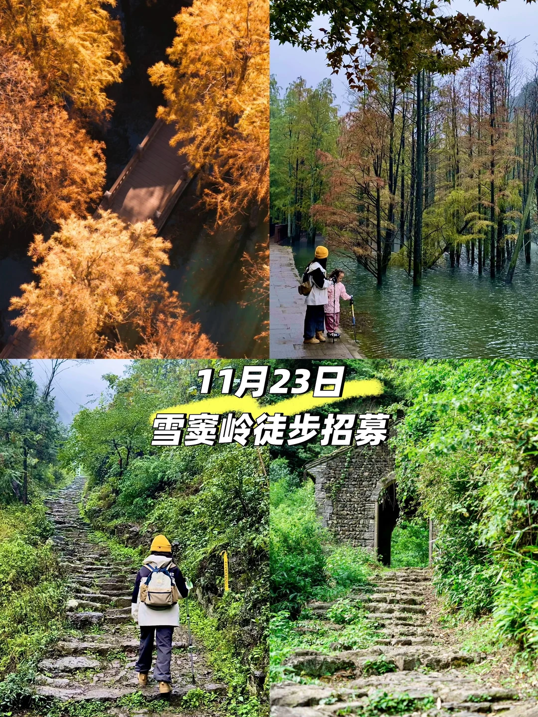 嘉兴的家长，11月23雪窦岭徒步研学招募啦