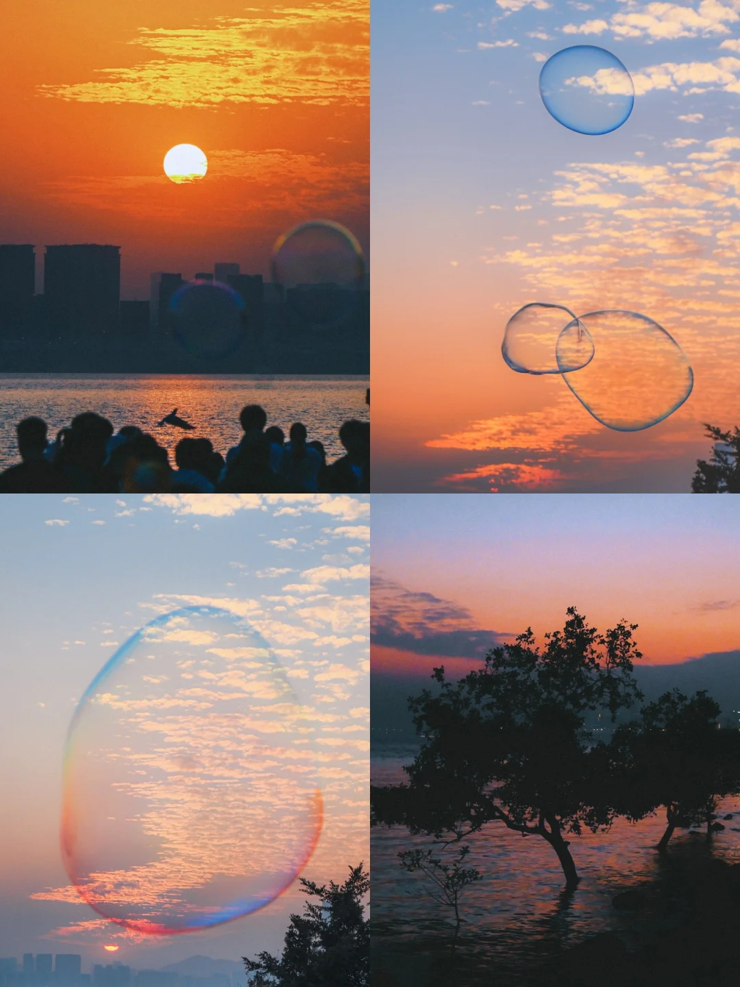 一切有为法，如梦幻泡影🎈