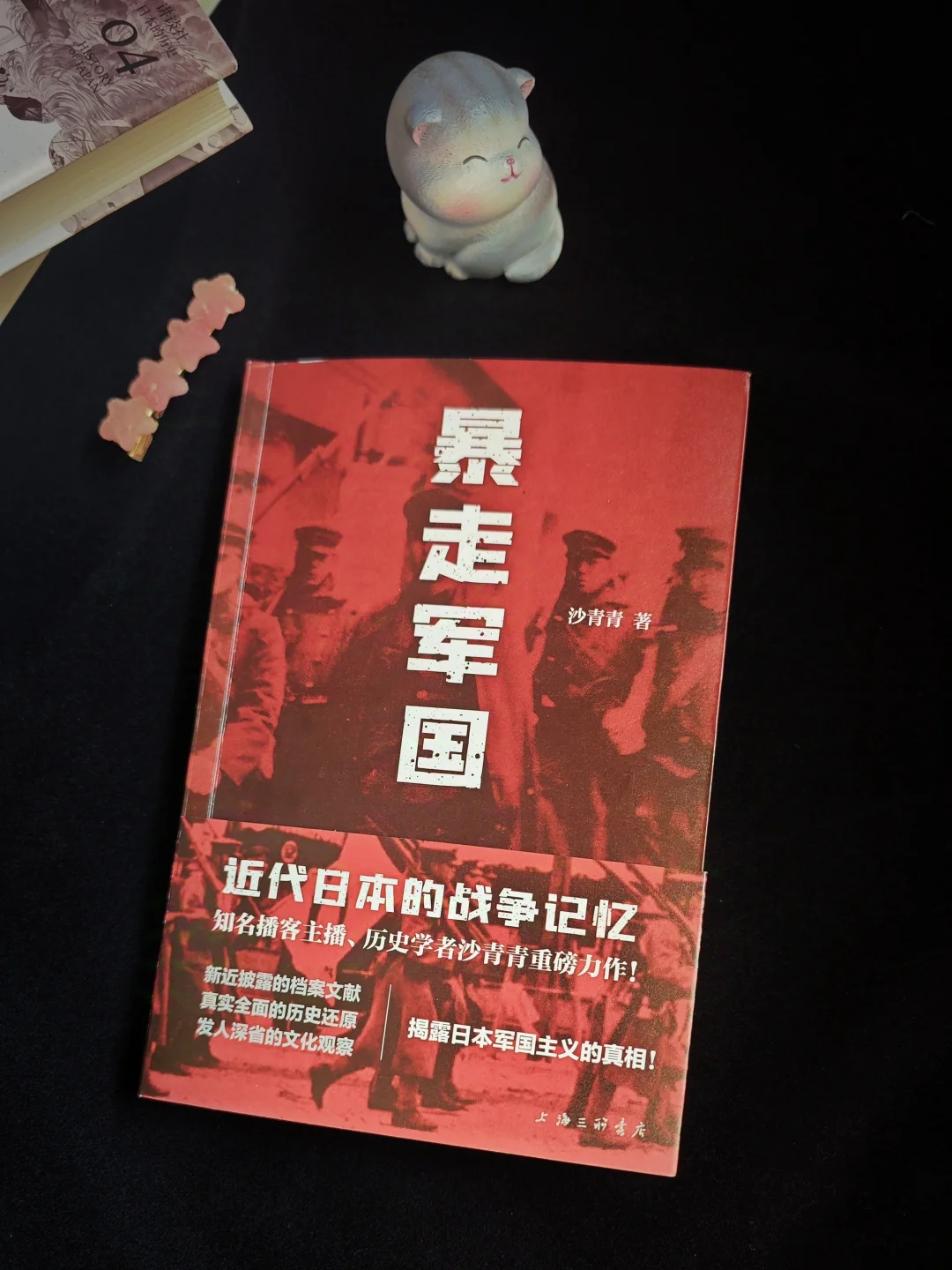 “我不希望战争的历史被人遗忘”