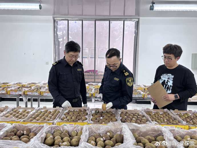 想尝最新鲜的新西兰金果绿果？先看玉环大麦屿港！7365吨奇异果搭乘"极...