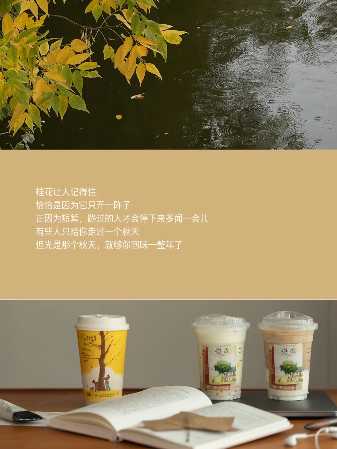 人与人会在秋桂的筛选下告别 🍂