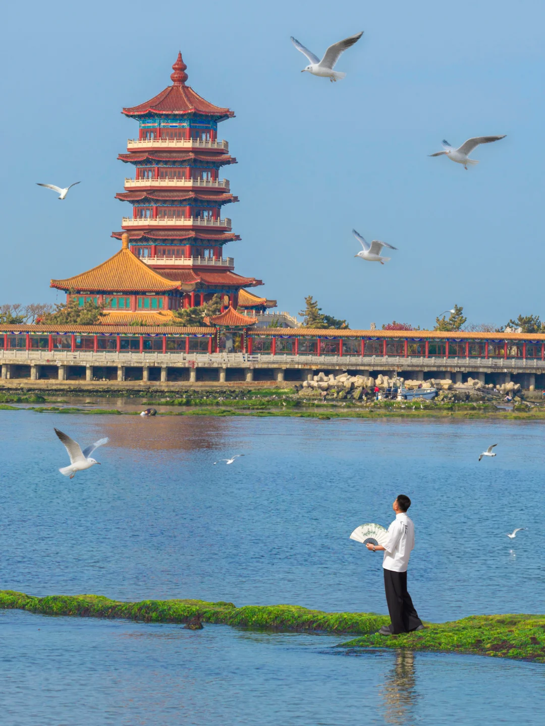 不敢相信😭我在山东找到神话中的海上仙境