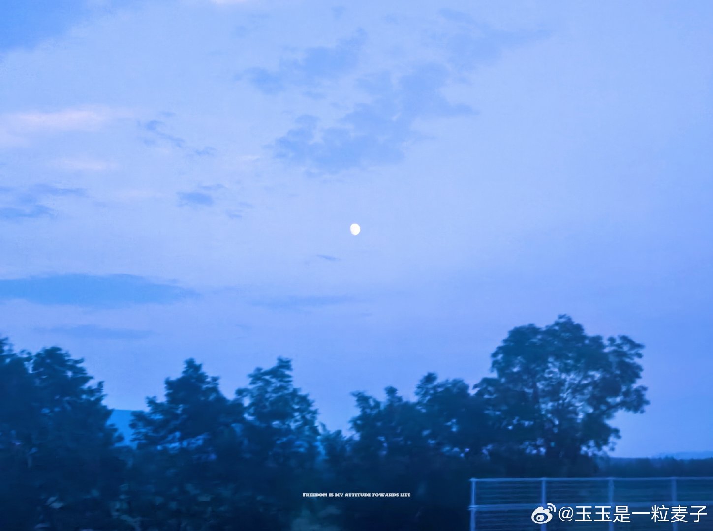 凌晨五点的早上，街边有六个清洁工，一辆出租车和一位代驾。 ​