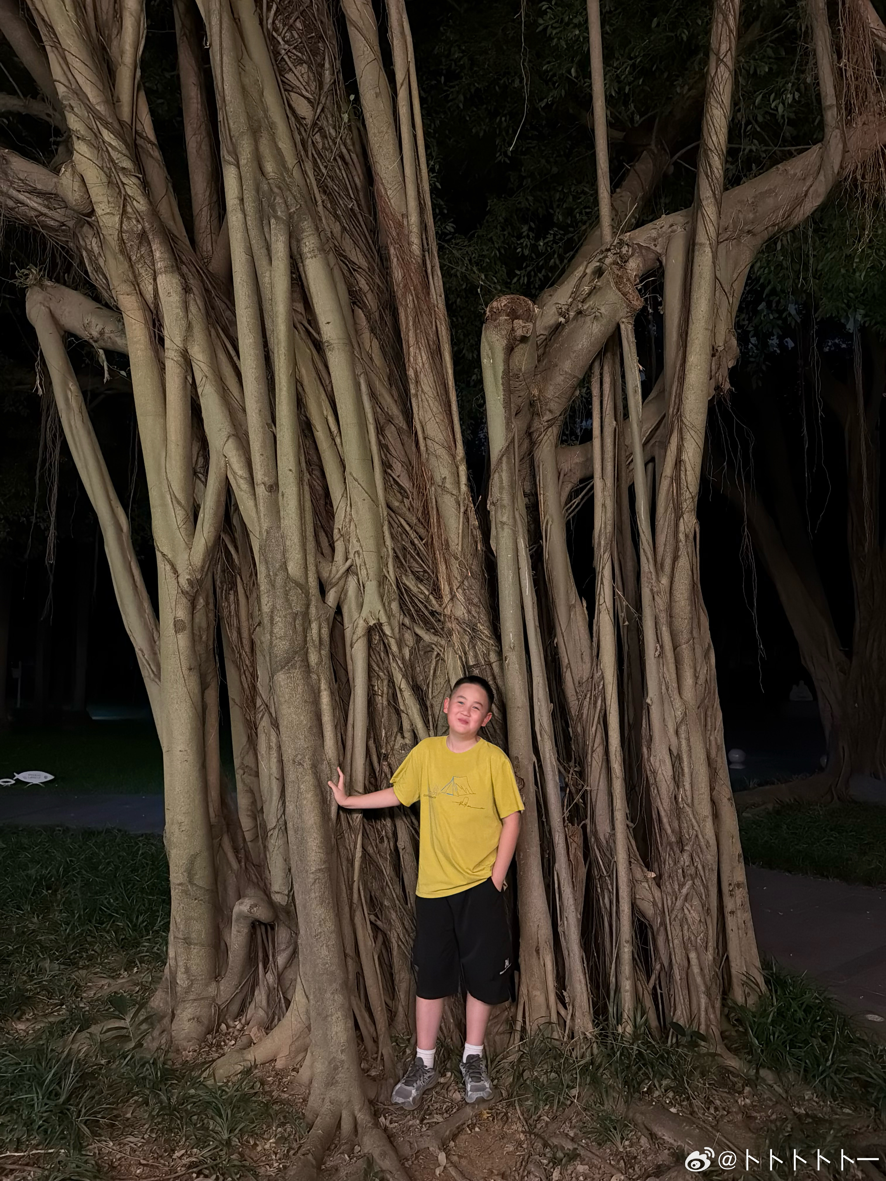 大树🌳还是那棵大树🌳，孩子长大了！前几天他们班上三个女同学加他微信，找他一起打游戏！三个女同学都是成绩比较好的，我觉得有时间一起打游戏也没啥！我还希望我儿子可以和人家学习一下，人家的学习态度啥的，学习都很认真那种！其中一个女同学还给4个人拉了个群，群名叫：F4，你看他们10后也知道F4！这是把他当闺蜜了？物以类聚人以群分，我个人觉得孩子还是尽量和优秀的同伴一起玩才会进步，和那些整天搞些乱七八糟的孩子玩真的容易学坏！身边有例子，有个朋友家女孩，初中和几个女生开始搞小团体，成绩直线下滑，家长立马给转学了，然后成绩慢慢上来了顺利考上了高中！我嘱咐他，和女生说话要绅士，不能像和你哥哥打游戏似的，两个人急头白脸的；不能说脏话（虽然他平时也不会说，但还是强调一下），我发现我儿子倒没说脏话，女同学说话倒是带md语气词；不能说其他同学不好之类的话…作为男同学家长其实也很谨慎，怕被找家长