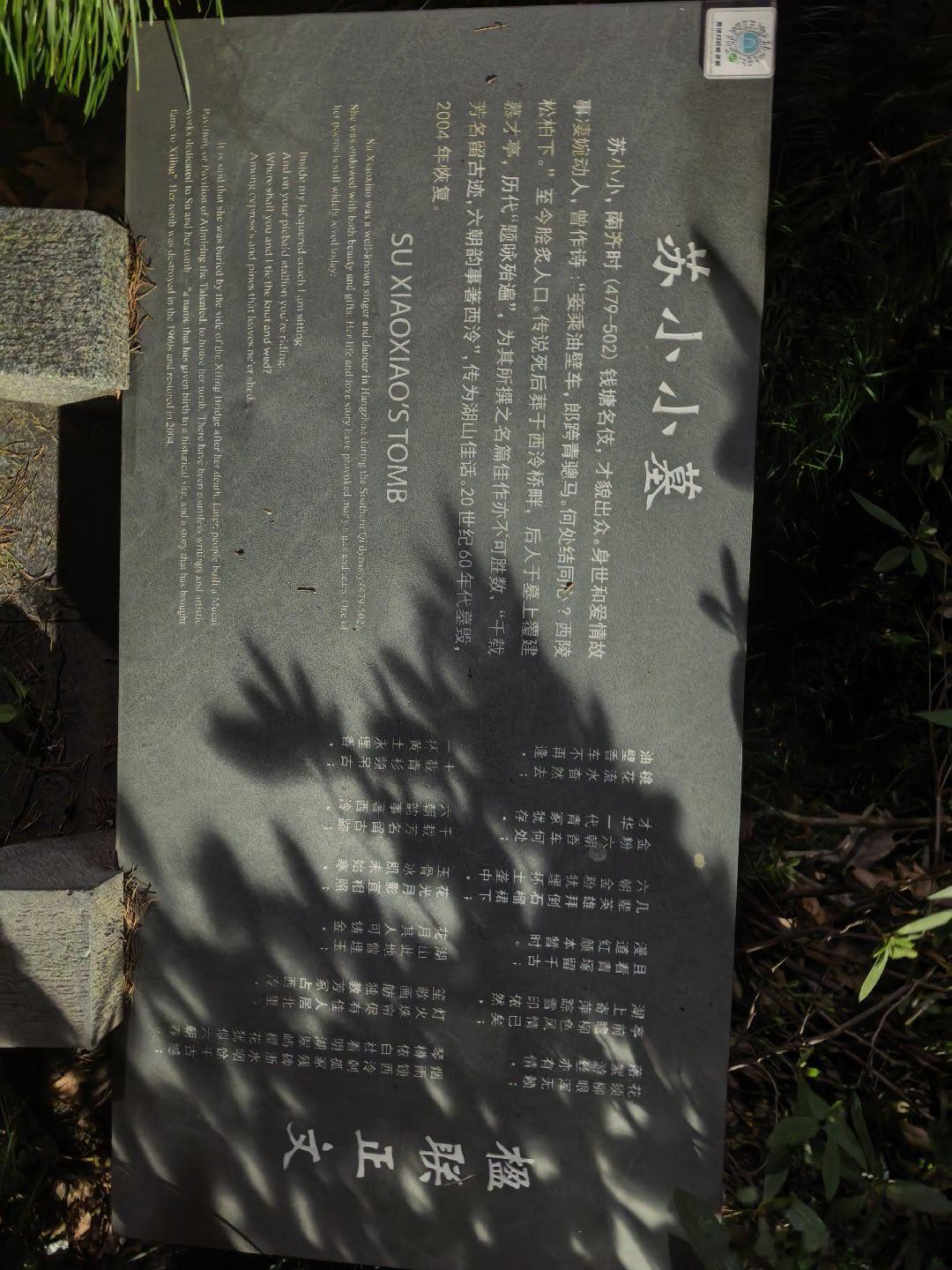 有感苏小小之诗

         我本场中人
         一朝误很深
         何时成功日
         全靠百色花

肖氏文刀，力成精品；多情故事，名成王子。若需转载，请注出处。2026年9月18日多情王子文刀肖路过西湖苏小小之墓有感其诗所作 ​​​