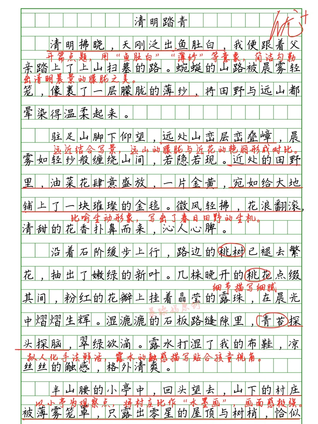 🔥小学生优秀作文批改《清明踏青》