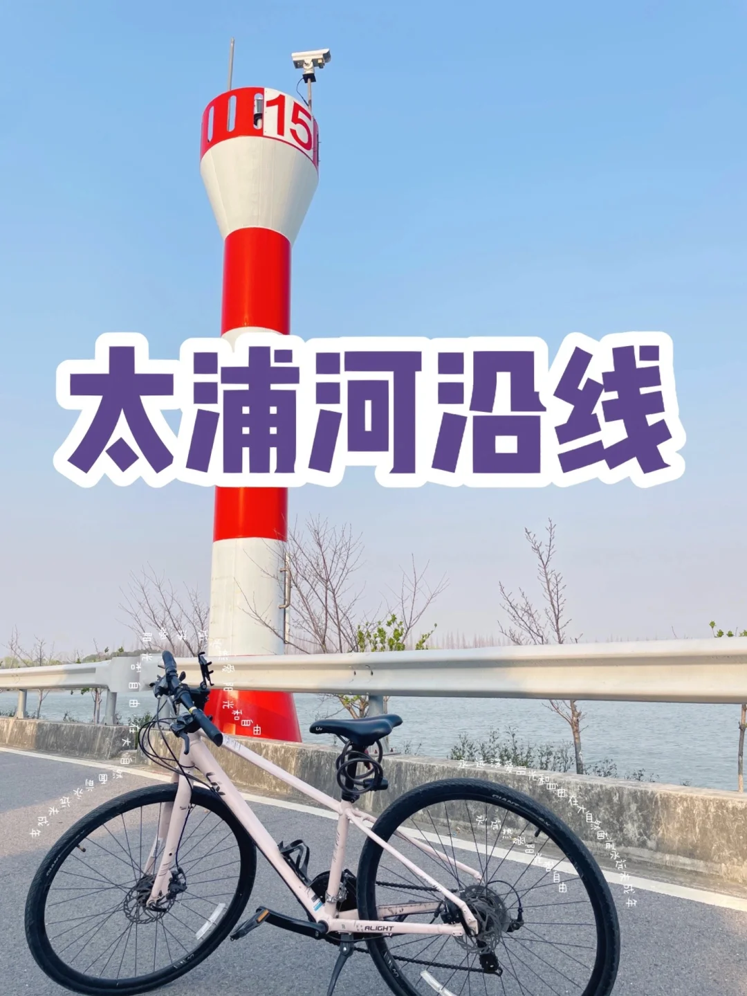 骑行打卡挑战| 🚴太浦河，踩点人的终极挑战