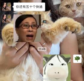 谁懂这句话加上这个表情包有多搞笑哈哈哈哈哈哈哈哈哈哈哈