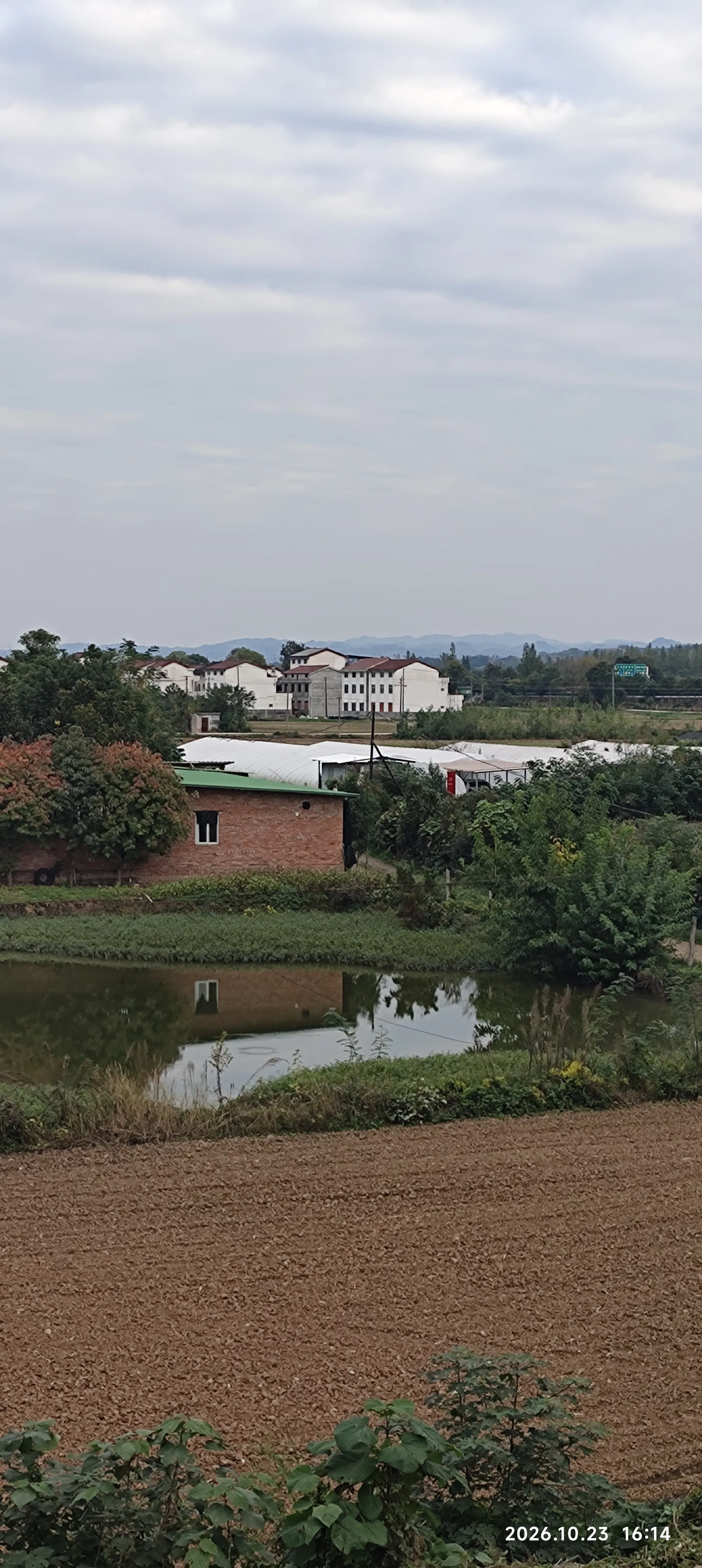 地已经