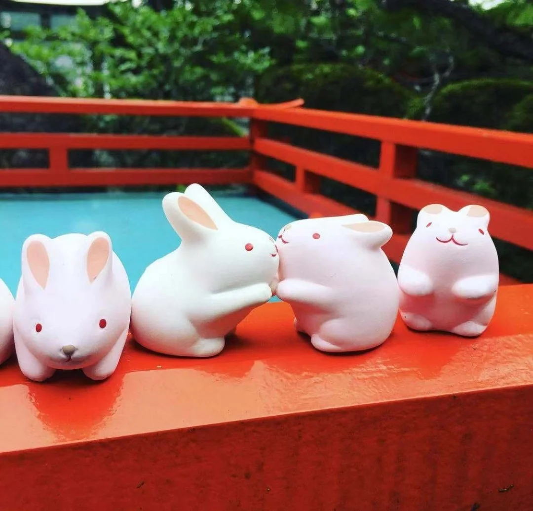日本京都|让可爱的兔兔来治愈一切吧！