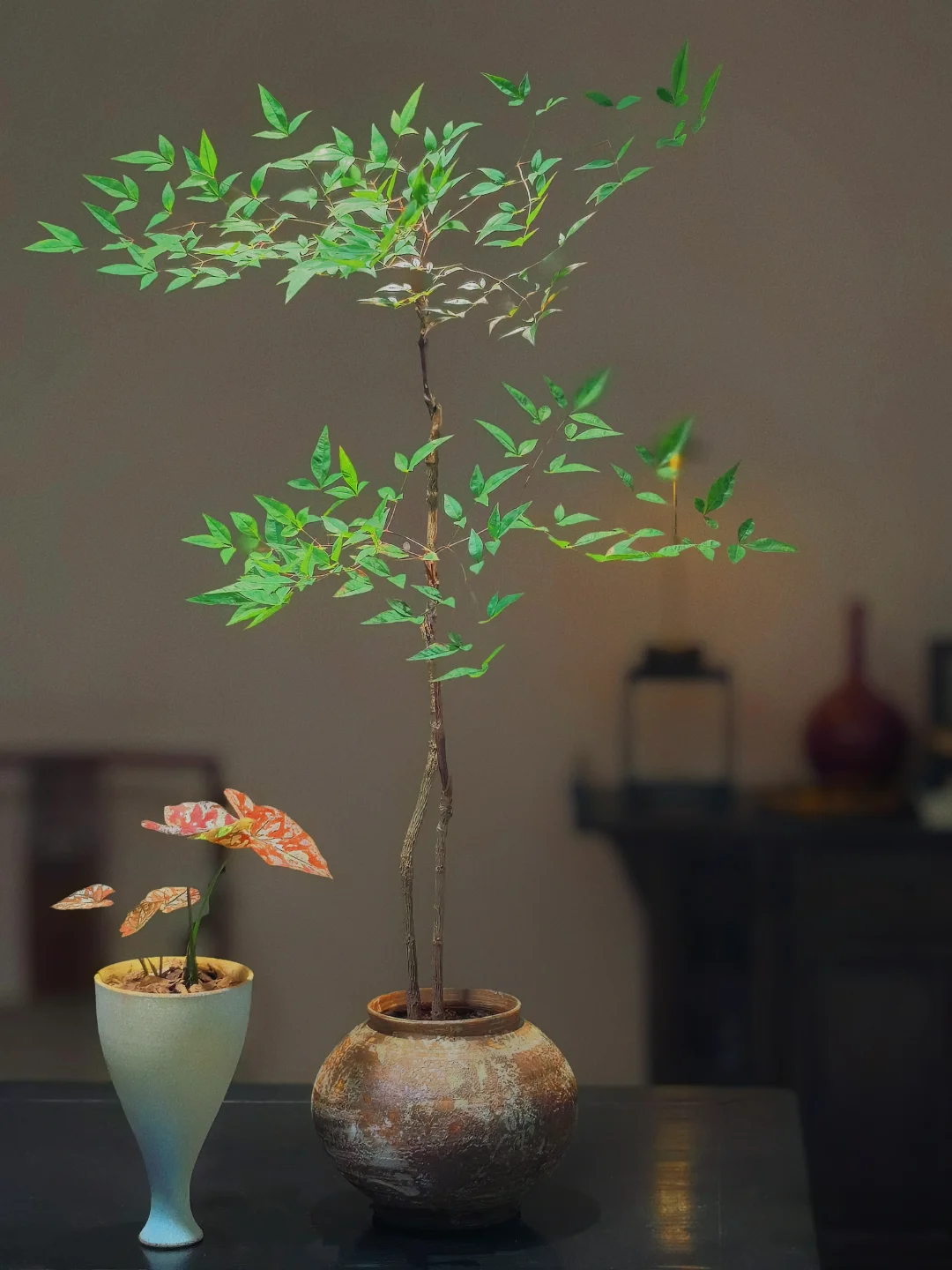 “没点艺术细胞还真刷不到我”