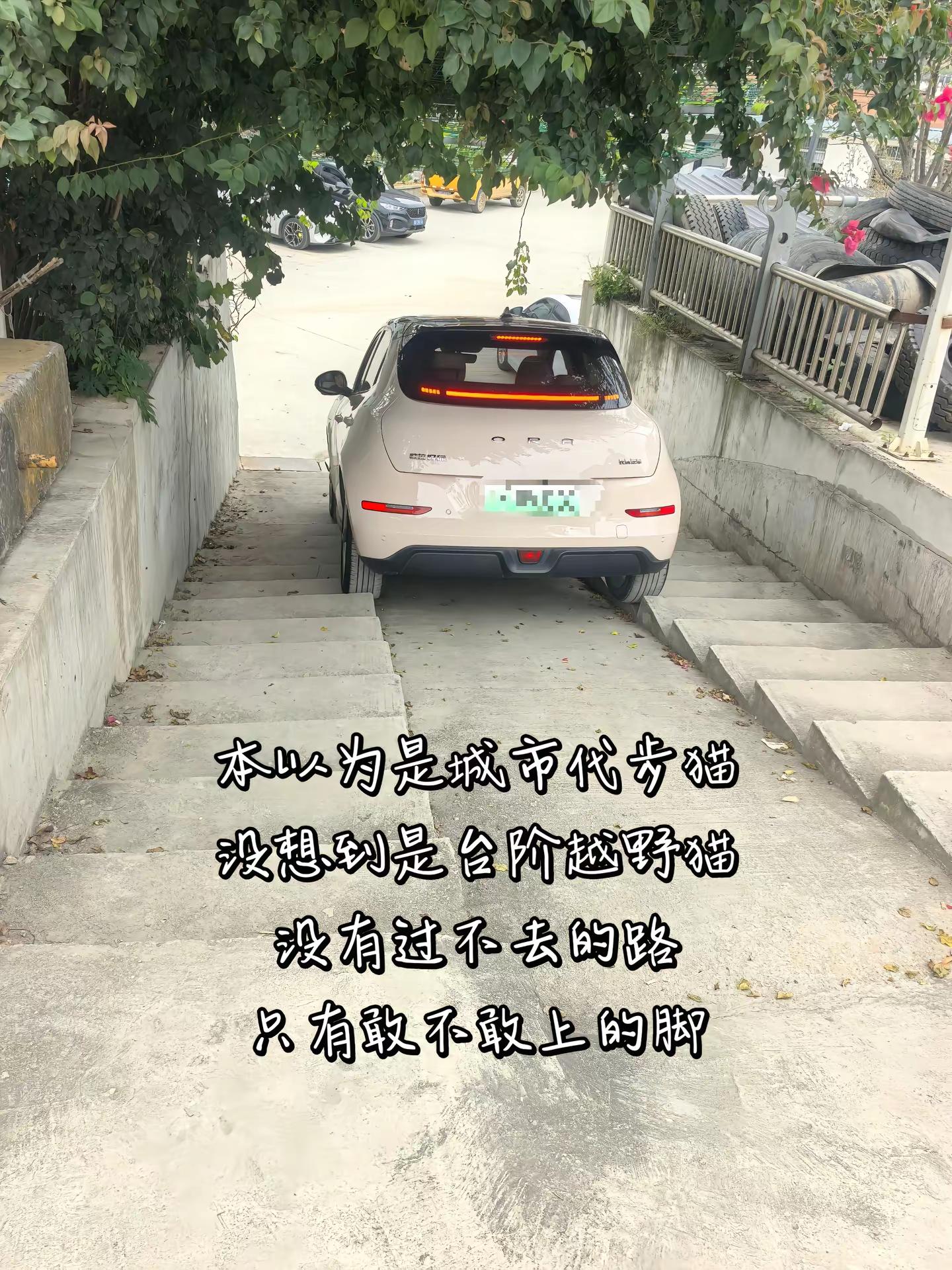 谁说越野一定要硬派大越野？欧拉好猫申请出战！