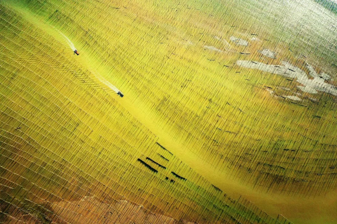 是经济地理学，也是靠海吃海的具象化