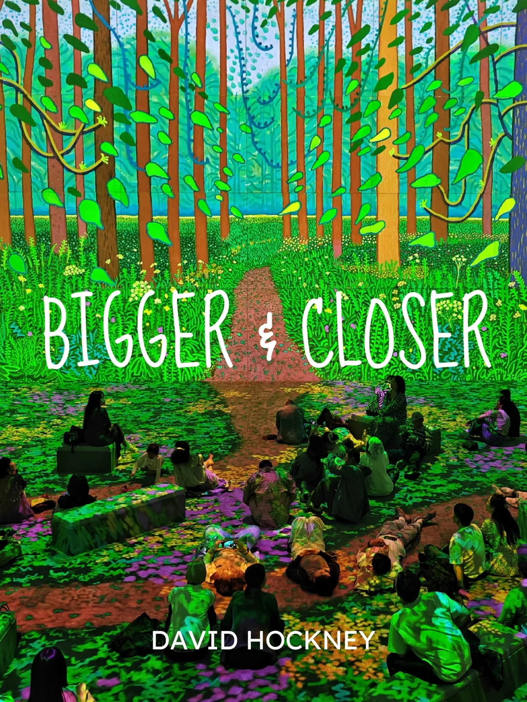 来吧！躺着和HOCKNEY一起热爱这个世界