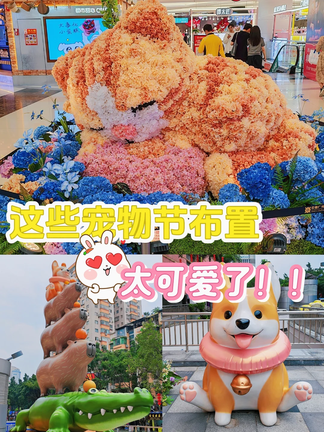 太可爱了！这些宠物节布置超好拍📸