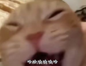 在家躺平了一整天，骨头都睡痛了[泪奔]黄金金价现货黄金金价跌回8字头仍可能继续下跌 ​​ ​​​