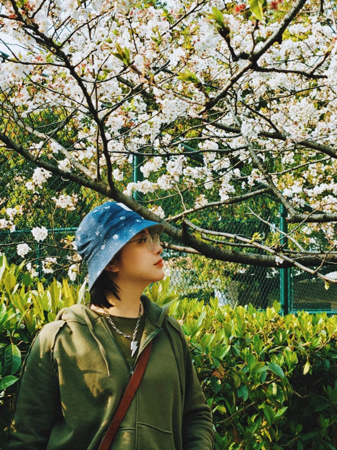 春日的同济，是如此适合怀旧滤镜……