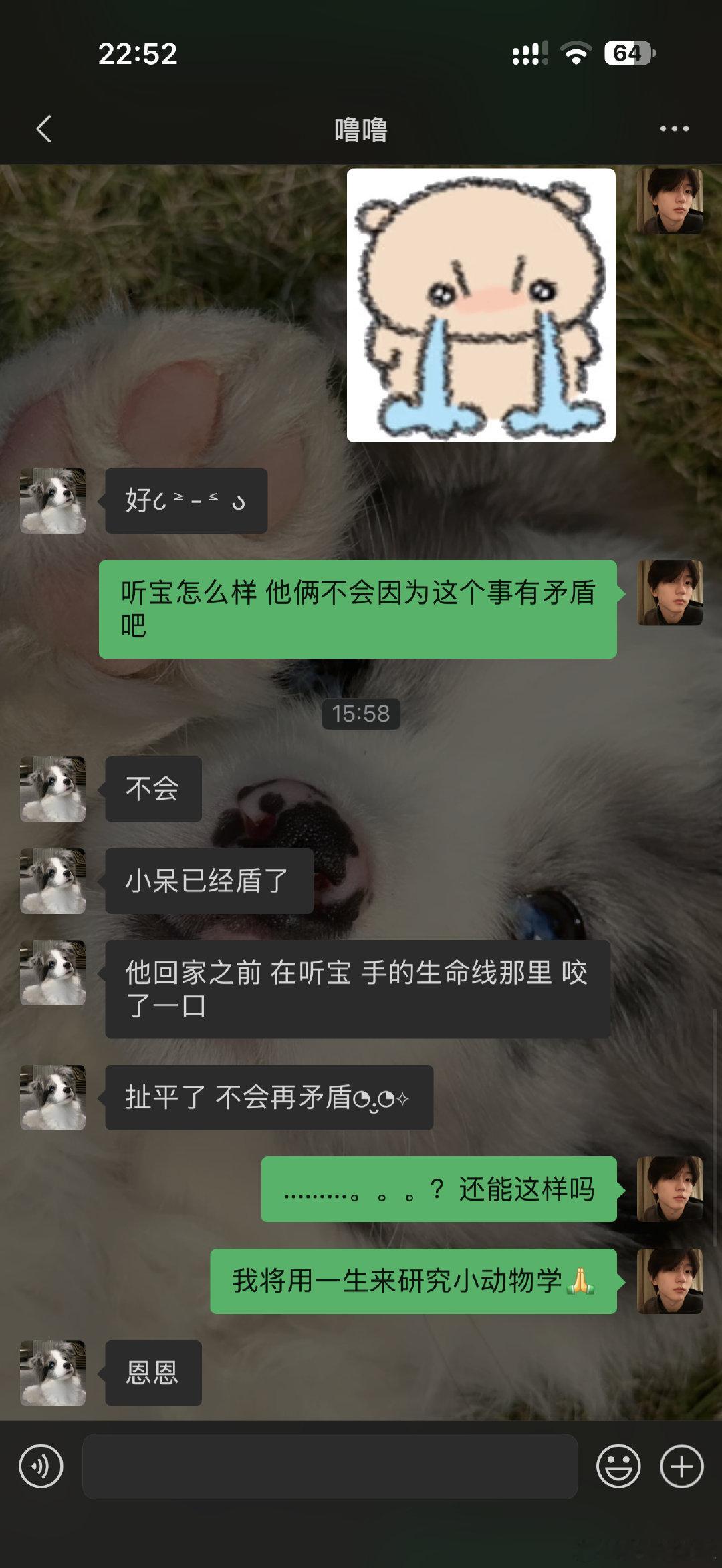 小狗番外4之颤抖吧！这家里恐怕是又要出一个大学生了！ ​