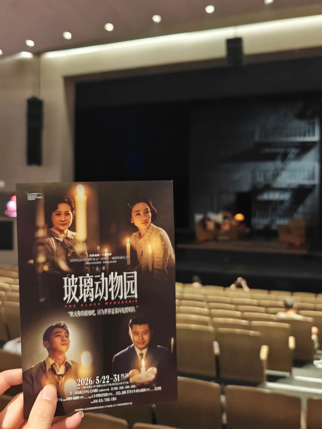 5.23玻璃动物园| 这一次，脆弱依旧大获全胜