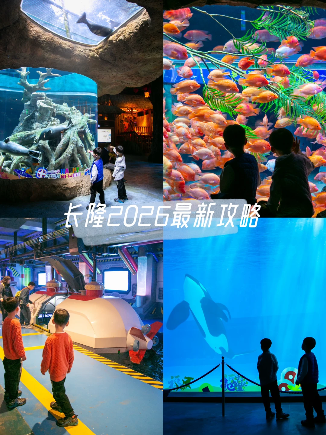 珠海长隆才回来❗️攻略细节比参考答案还清
