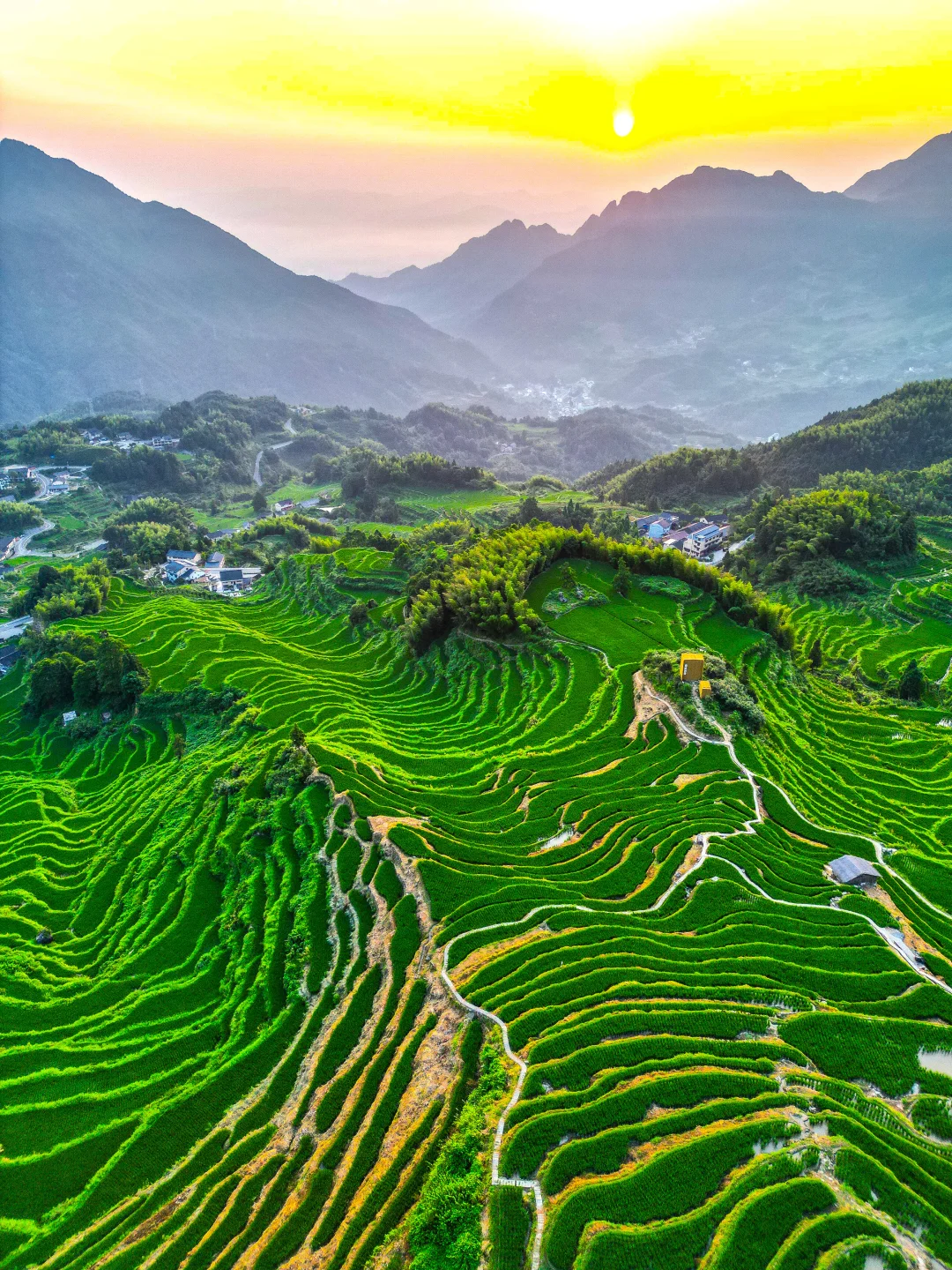 不是云贵，江浙沪也有自己的绝美梯田❗❗