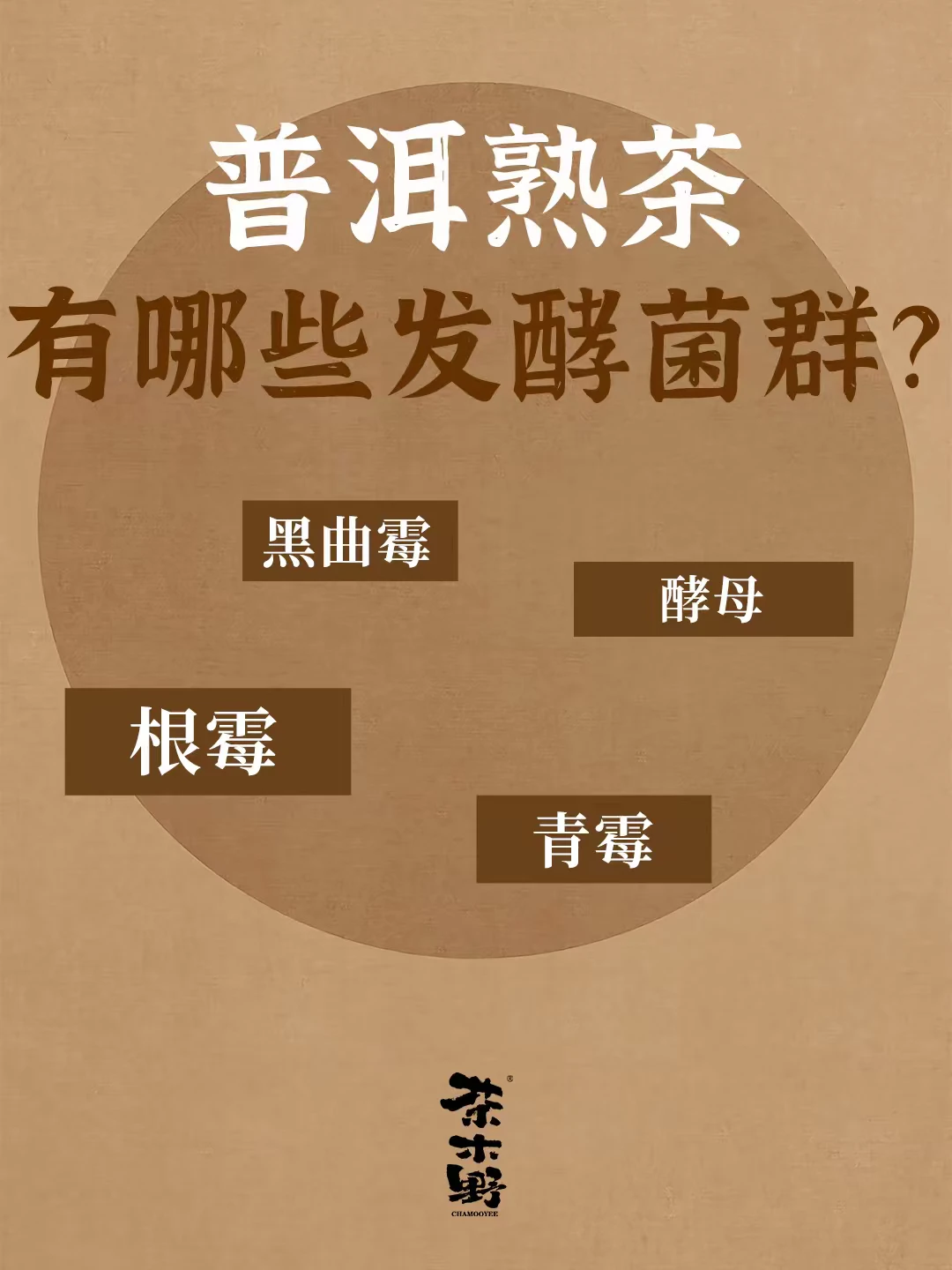 知识分享丨一分钟了解普洱茶的发酵菌群