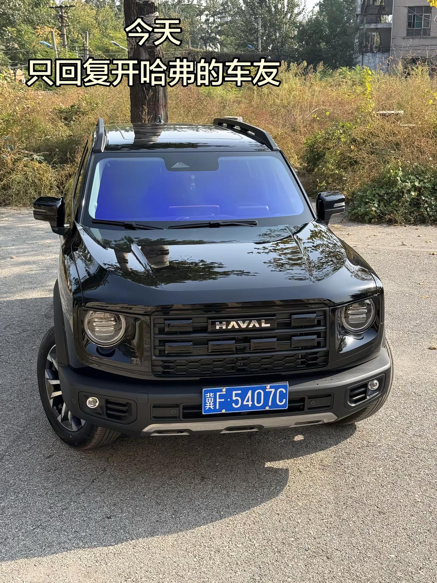 今天这期只回复开哈弗的车友，顺便看看你们开的都是哈弗哪款车🚘黑色哈弗 黑色哈弗大狗