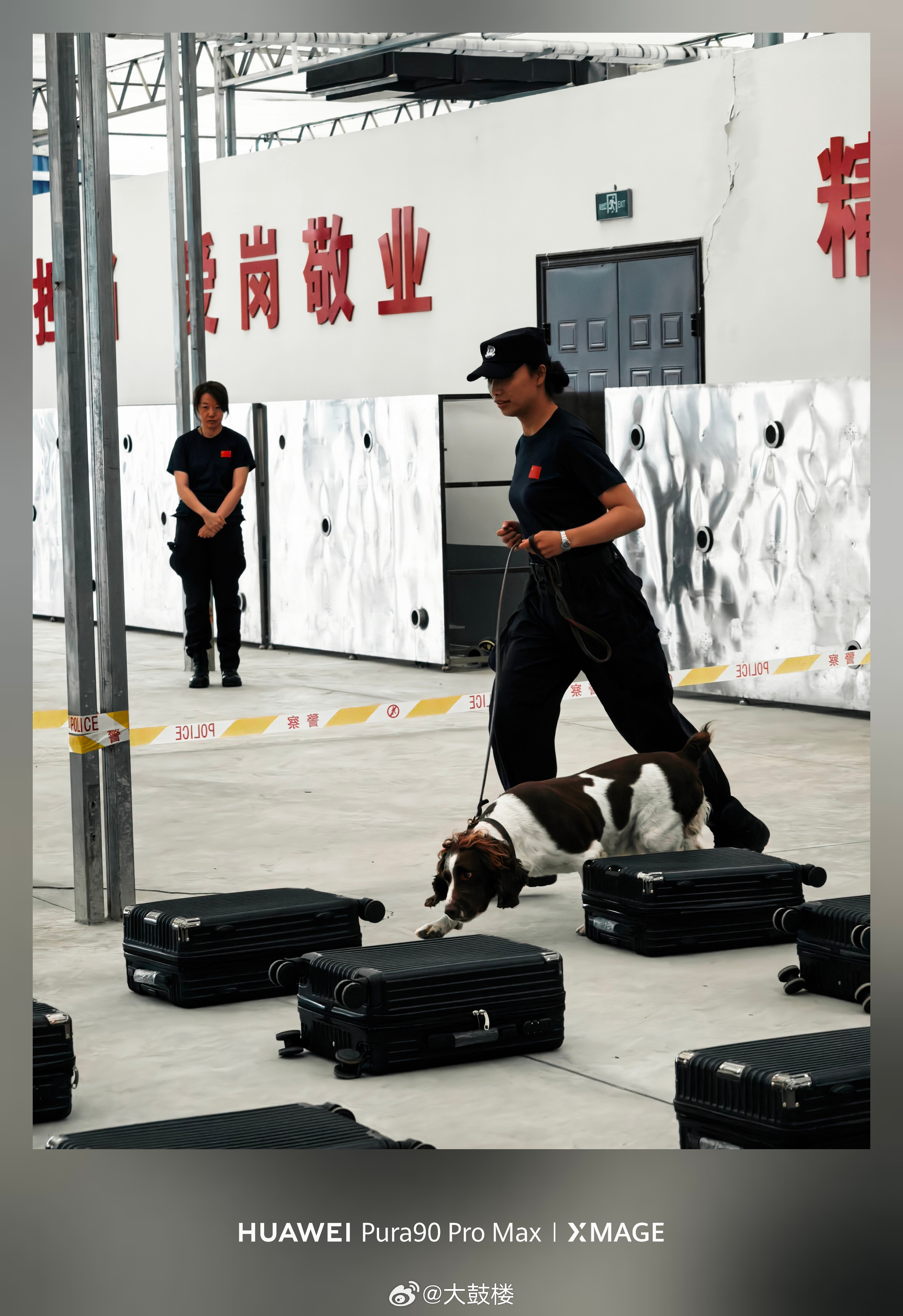 今天有幸来北京市公安局刑侦总队参加“强治理、护民安、促发展”主题宣传一线采访活动，和咱们北京公安的同志们了解沟通了一下，下午又去了警犬基地。但依旧有几个细节，想记下来，和大家说说。先说入户盗窃。现在北京是发案后抢72小时"黄金期"，快侦快破快挽损，破案率做到100%。咱们北京警察是真当回事，争分夺秒帮你追回来。还联合市住建委搞"一年三宣"，推动发案小区换C级锁，推动入户盗窃及盗窃地下室案件降至历史同期新低。再说电信网络诈骗，打击质效目前排在全国前列。在"断卡""断流"专项行动中，今年打掉窝点团伙170个，很多是藏得特别深的，比如利用远控软件诈骗未成年人、虚假购物服务、刷单诈骗这类。现在骗子把钱往线下转，北京就搞打击线下运金，刑拘运金嫌疑人460多人，打掉"车队"73个，拦下涉诈资金6200多万、黄金19.51公斤——这些钱，很可能是谁家攒了大半辈子的积蓄。涉旅涉医的黄牛、号贩子也抓了110多人；针对电动自行车、摩托车的假牌套牌违法，打掉窝点4个，刑拘40多人。反诈宣防也在同步做，推...