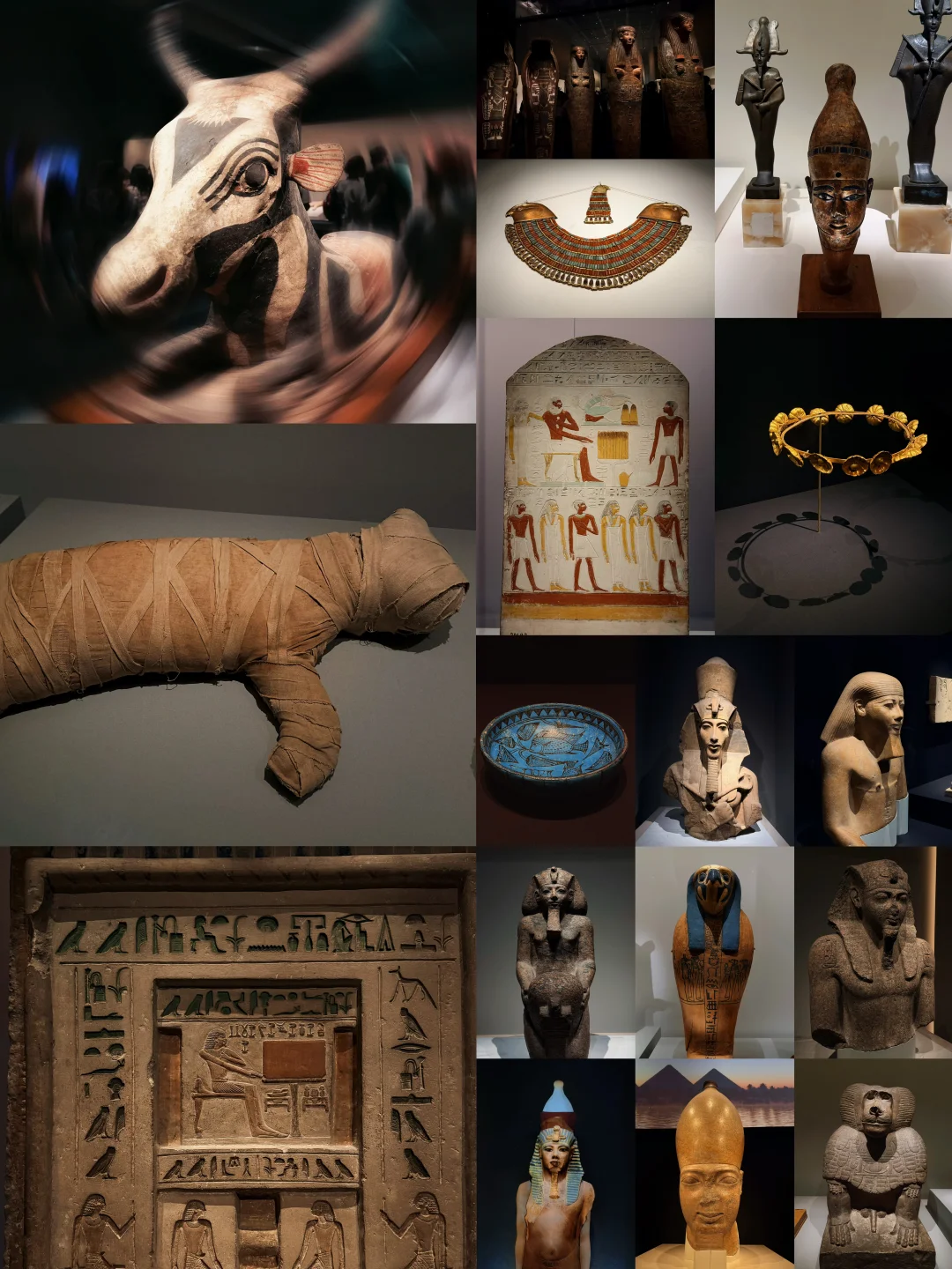 杀疯了‼️香港埃及展｜打卡千年木乃伊猫