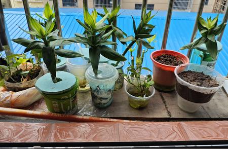 不错，人品好的人不管那个朝代，最终都有好的结果[赞]