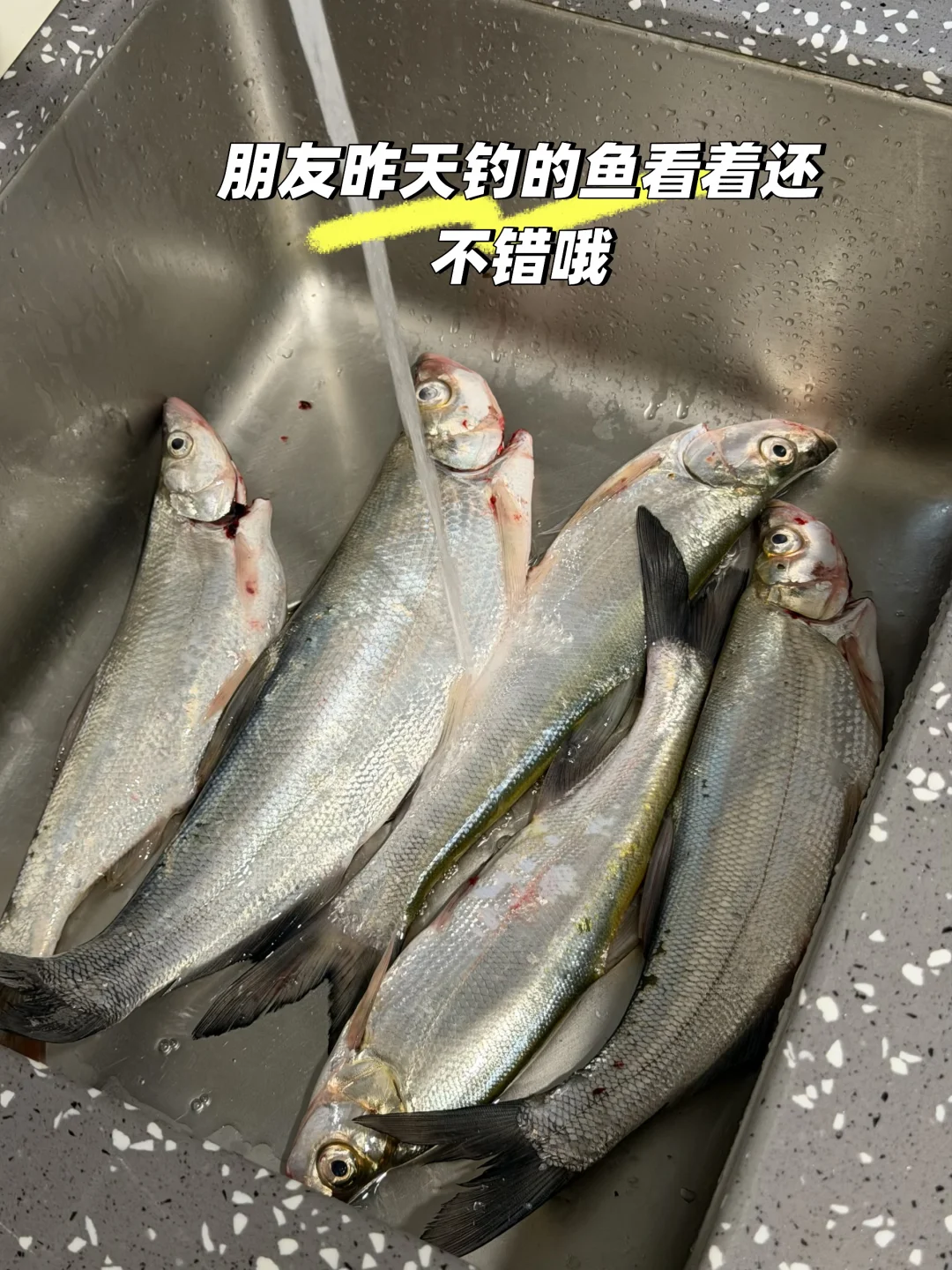 白翘鱼怎么做好吃呢第一做这个鱼