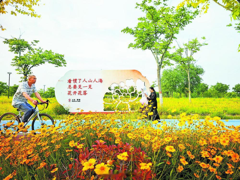 【一片花海，满城幸福感——七里河湿地公园见闻】初夏清风拂面，繁花次第盛...