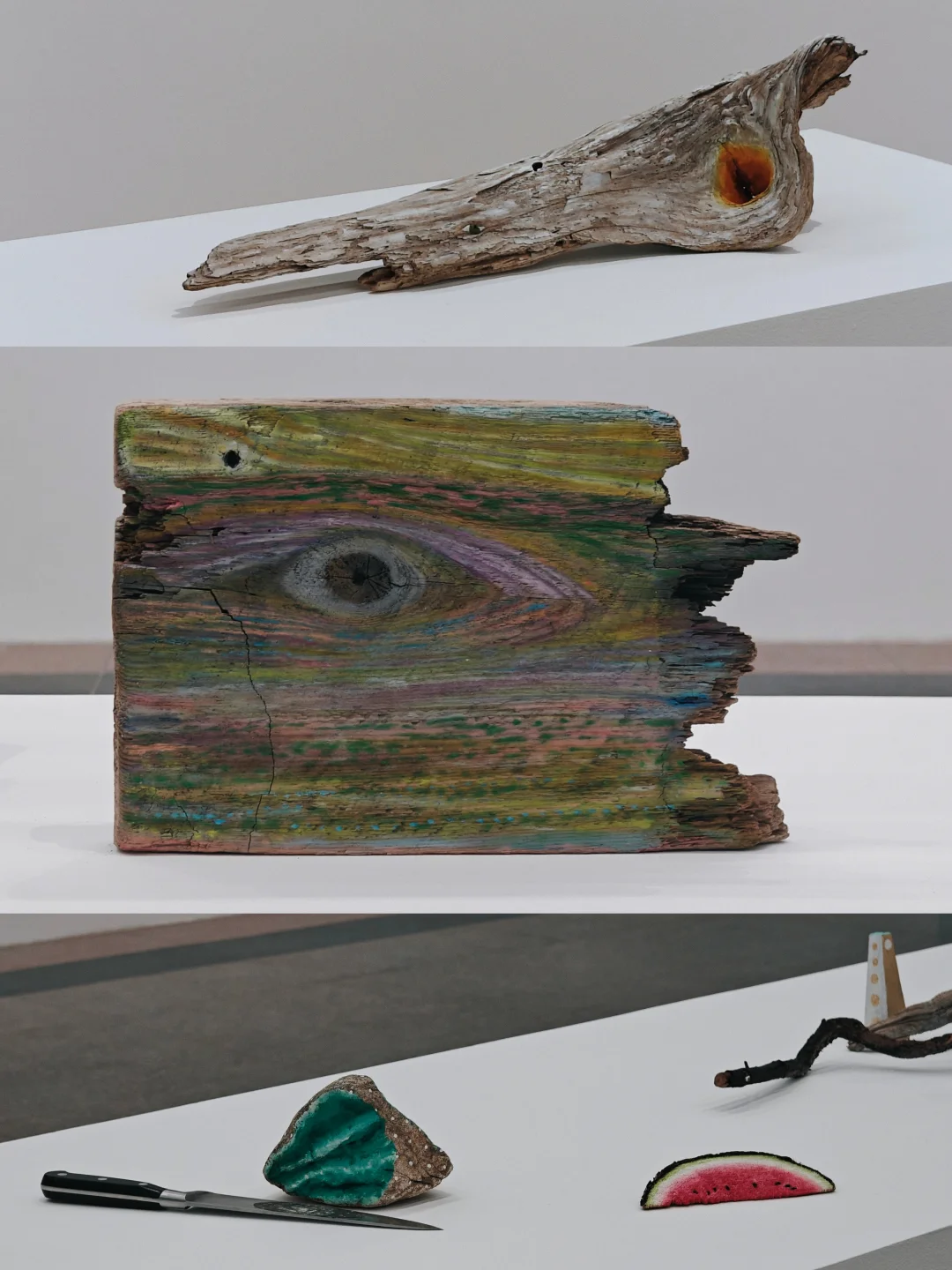 奇奇怪怪可可爱爱，自然与灵性的思考游戏